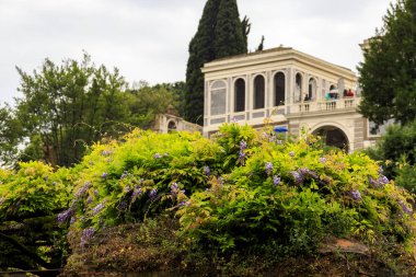 Roma, İtalya, Roma Forumu, Palatine