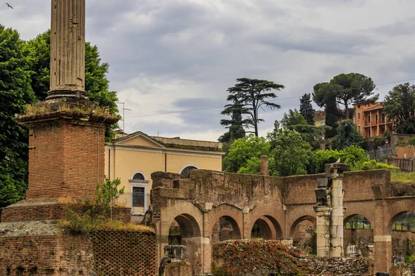 Rome Italy Roman Forum Palatine — Stock Photo, Image