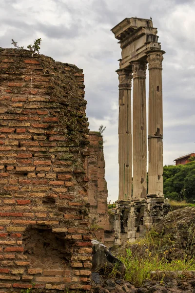 Roma, İtalya, Roma Forumu, Palatine