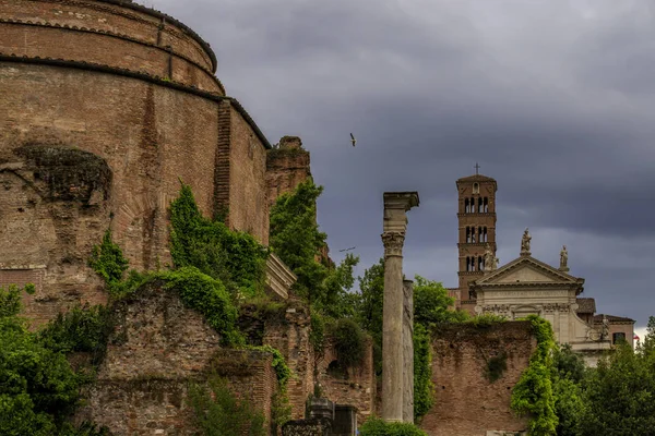 ローマ イタリア ローマフォーラム パラティン — ストック写真