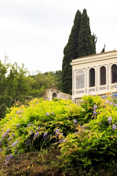 Roma, İtalya, Roma Forumu, Palatine