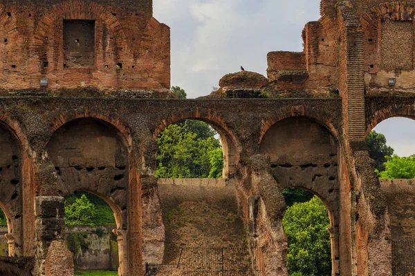 Rom Italien 2019 Utsikt Över Gatan Colosseu — Stockfoto