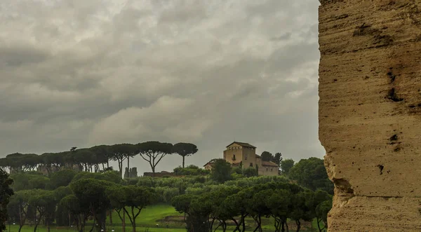 ローマ イタリア ローマフォーラム パラティン — ストック写真