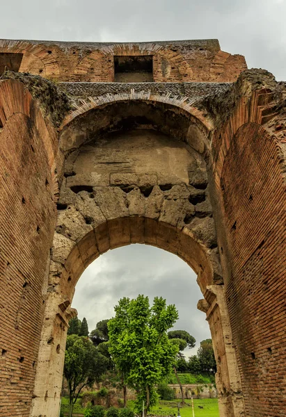 Roma Talya 2019 Sokak Manzaraları Colosseu — Stok fotoğraf