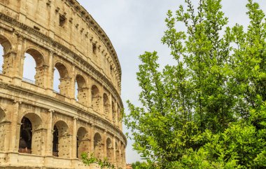 Roma, İtalya, 05.25.2019. Sokak manzaraları - Kolezyum