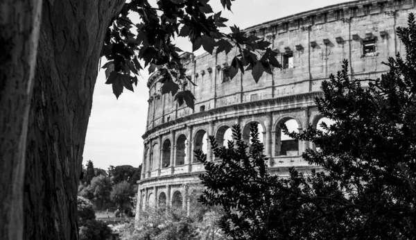 Rom Italien 2019 Utsikt Över Gatan Colosseum — Stockfoto