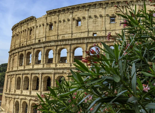 Roma Italia 2019 Vistas Calle Coliseo —  Fotos de Stock