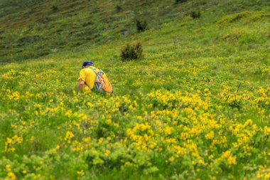 Pehchevo, Kuzey Makedonya, 06.09.2019: Kadiytsa zirvesine izleme, Vlahina dağı