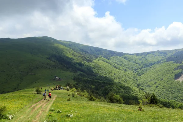 Pehchevo Nord Mazedonien 2019 Wanderung Zum Kadiytsa Gipfel Vlahina Gebirge — Stockfoto