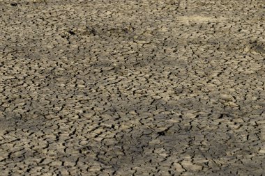 Shabla Tuzla, Bulgaristan. Bu bir göl lagünü, alt hidrojen sülfür sızma ile kaplıdır, çamur tedavisi için kullanılan.