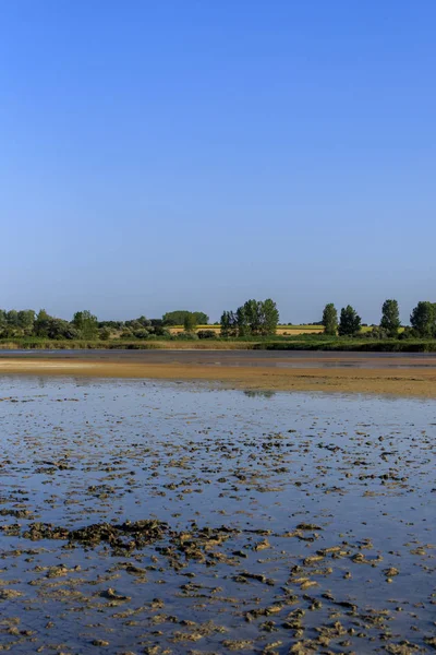 Shabla Tuzla Bulgária Uma Lagoa Lago Que Fundo Coberto Sulfeto — Fotografia de Stock