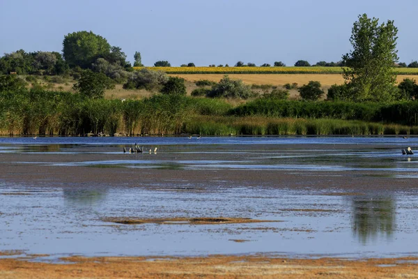 Shabla Tuzla Bulgaria Lake Lagoon Which Bottom Covered Hydrogen Sulphide — Stock Photo, Image