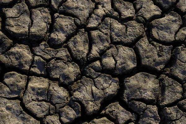 Shabla Tuzla Bulgaria Tratta Una Laguna Lacustre Cui Fondo Ricoperto — Foto Stock