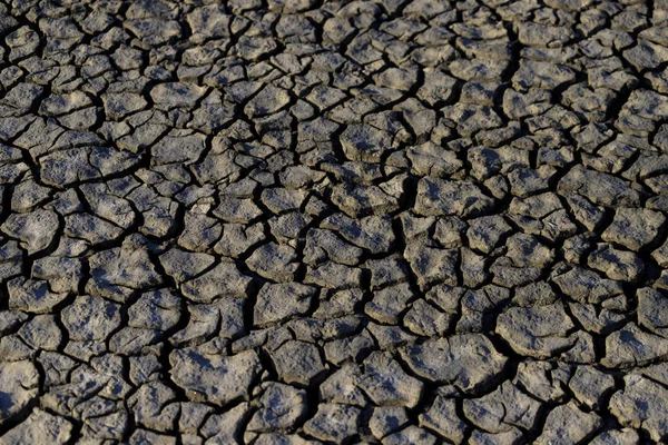 Shabla Tuzla Bulgaria Tratta Una Laguna Lacustre Cui Fondo Ricoperto — Foto Stock