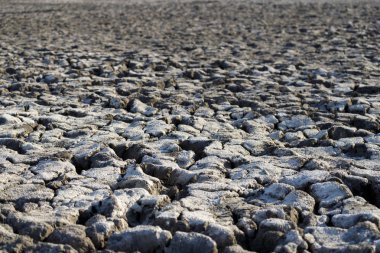 Shabla Tuzla, Bulgaristan. Bu bir göl lagünü, alt hidrojen sülfür sızma ile kaplıdır, çamur tedavisi için kullanılan.