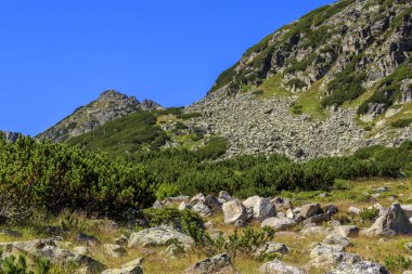 Rila Dağı'nda yürüyüş, Bulgaristan. Takip güzergahı Ystrebetz - Musala zirvesi