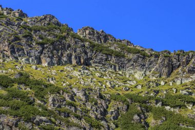 Rila Dağı'nda yürüyüş, Bulgaristan. Takip güzergahı Ystrebetz - Musala zirvesi