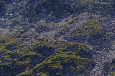 Rila Dağı'nda yürüyüş, Bulgaristan. Takip güzergahı Ystrebetz - Musala zirvesi