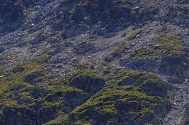 Rila Dağı'nda yürüyüş, Bulgaristan. Takip güzergahı Ystrebetz - Musala zirvesi