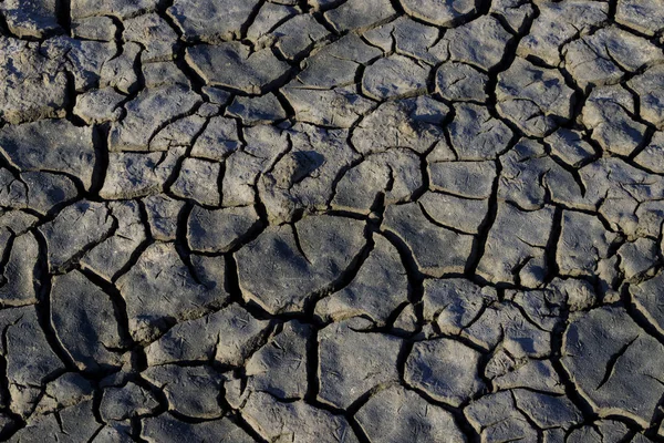 Shabla Tuzla Bulgaria Tratta Una Laguna Lacustre Cui Fondo Ricoperto — Foto Stock