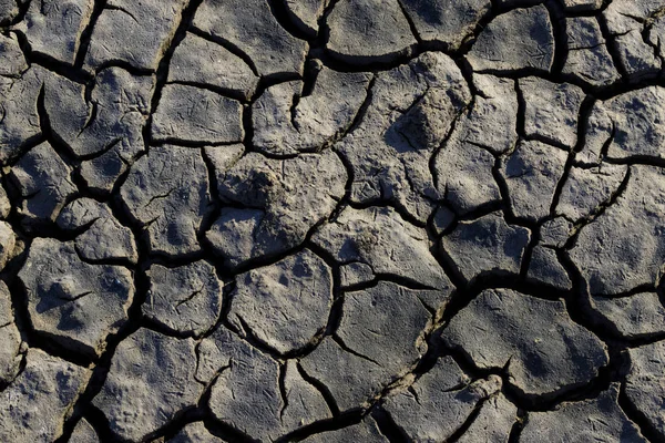 Shabla Tuzla Bulgaria Tratta Una Laguna Lacustre Cui Fondo Ricoperto — Foto Stock