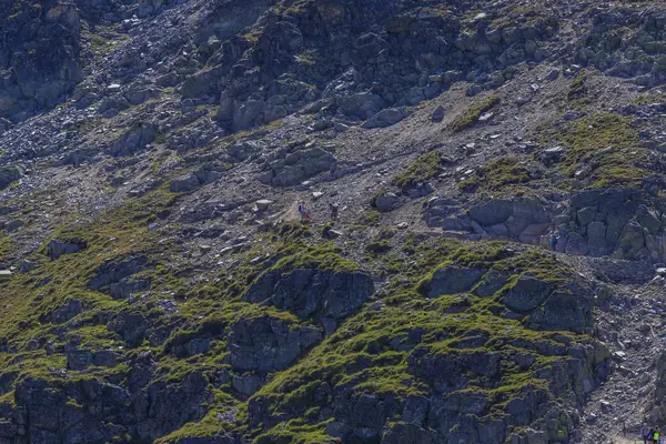 Senderismo Rila Mountain Bulgaria Ruta Seguimiento Ystrebetz Cumbre Musala —  Fotos de Stock