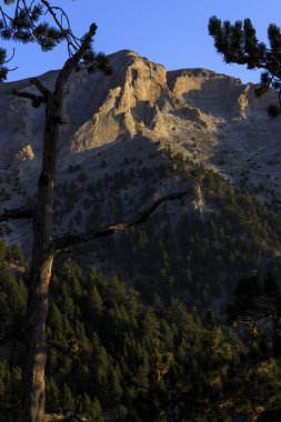 Olymp Dağı. Skolio ve Mitikas zirvelerine giden yolda izleme görüşleri