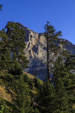 Olymp Dağı. Skolio ve Mitikas zirvelerine giden yolda izleme görüşleri