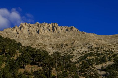 Olymp Dağı. Skolio ve Mitikas zirvelerine giden yolda izleme görüşleri