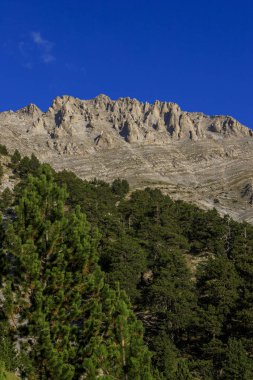 Olymp Dağı. Skolio ve Mitikas zirvelerine giden yolda izleme görüşleri