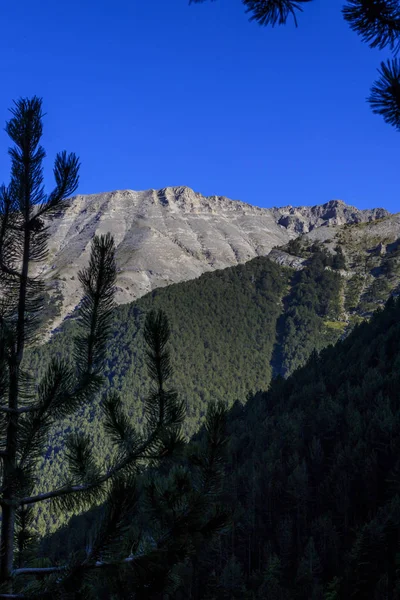 Montaña Olymp Seguimiento Las Vistas Camino Las Cumbres Skolio Mitikas — Foto de Stock