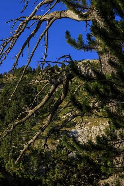 Olymp Dağı. Skolio ve Mitikas zirvelerine giden yolda izleme görüşleri