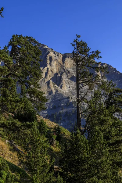 Olymp Dağı. Skolio ve Mitikas zirvelerine giden yolda izleme görüşleri