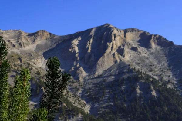 Olymp Dağı. Skolio ve Mitikas zirvelerine giden yolda izleme görüşleri