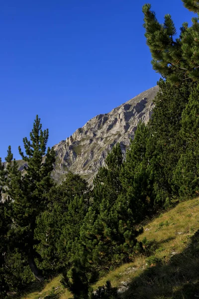 Olymp Dağı. Skolio ve Mitikas zirvelerine giden yolda izleme görüşleri