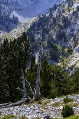 Olymp Dağı. Skolio ve Mitikas zirvelerine giden yolda izleme görüşleri
