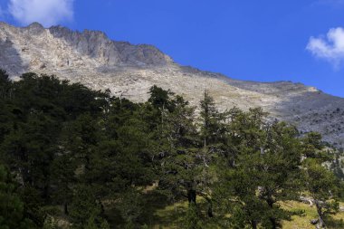Olymp Dağı. Skolio ve Mitikas zirvelerine giden yolda izleme görüşleri