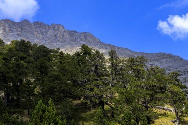 Olymp Dağı. Skolio ve Mitikas zirvelerine giden yolda izleme görüşleri