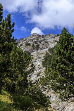 Olymp Dağı. Skolio ve Mitikas zirvelerine giden yolda izleme görüşleri