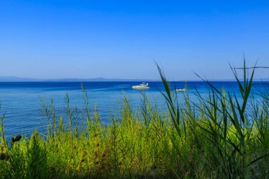 Agora Beach, kasandra, Chalkidiki, Yunanistan