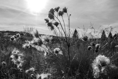 Vitosha mountain'dan görünüm, Bulgaristan