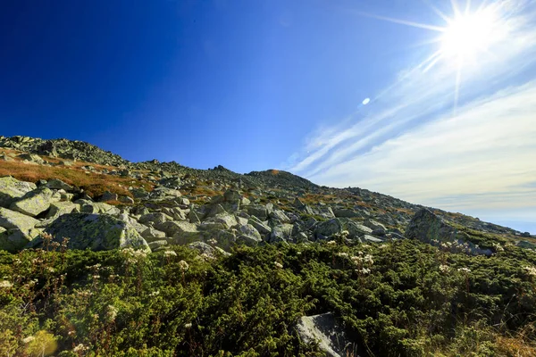 Vista Desde Montaña Vitosha Bulgaria — Foto de Stock