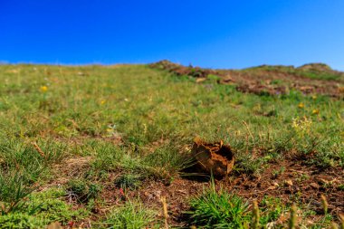 Eleshnitsa 'dan Murgash zirvesine kadar, Stara planina dağı, Bulgaristan