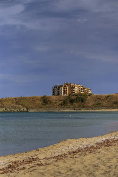 Zeemeeuw Koral Strand Tsarevo Bulgarije — Stockfoto