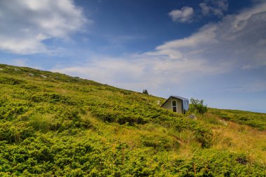 Bulutlu ve dışlanmış hava, Vitosha dağı, Bulgaristan