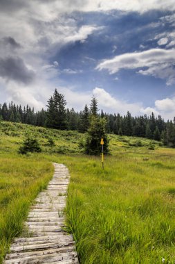 Bulutlu ve dışlanmış hava, Vitosha dağı, Bulgaristan