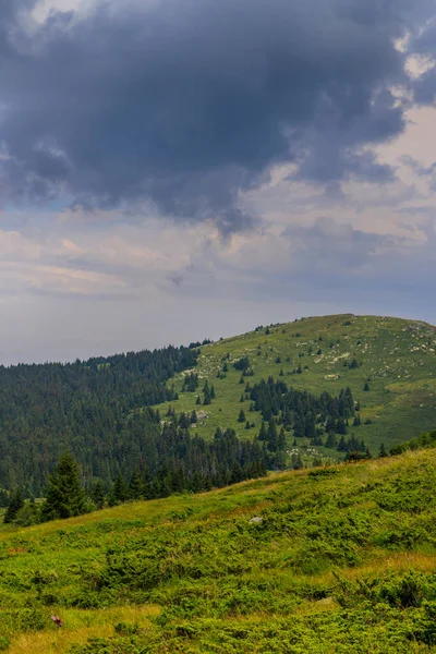 Bulutlu Dışlanmış Hava Vitosha Dağı Bulgaristan — Stok fotoğraf