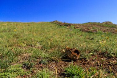 Eleshnitsa 'dan Murgash zirvesine kadar, Stara planina dağı, Bulgaristan