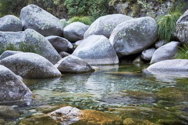 yeşil şeffaf Nehri