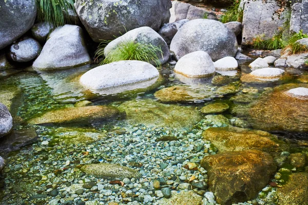 緑の透明な川 — ストック写真